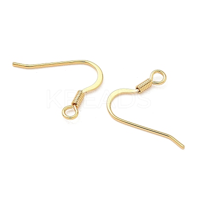 SHEGRACE Brass Earring Hooks XGR0139G-152G-1