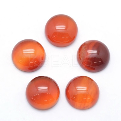 Natural Carnelian Cabochons G-P393-R41-12mm-1