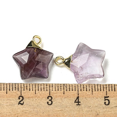 Natural Amethyst Pendants G-P540-01G-10-1