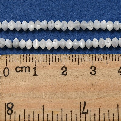 Natural Trochus Shell Rondelle Beads Strands SSHEL-H072-01B-1