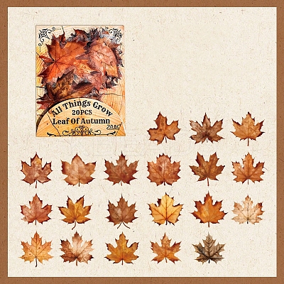 Waterproof PET Stickers Set DIY-Z030-01C-1