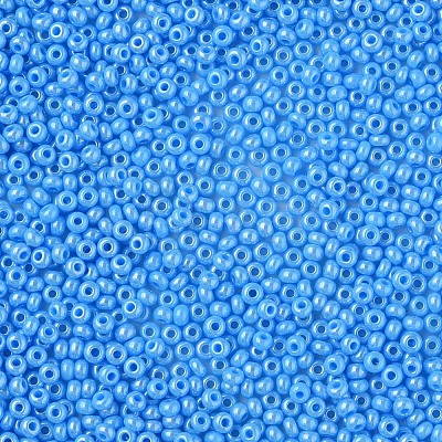 11/0 Czech Opaque Glass Seed Beads SEED-N004-003B-17-1