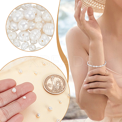 100Pcs 2 Styles Natural Cultured Freshwater Pearl Beads Strands PEAR-GA0001-05-1