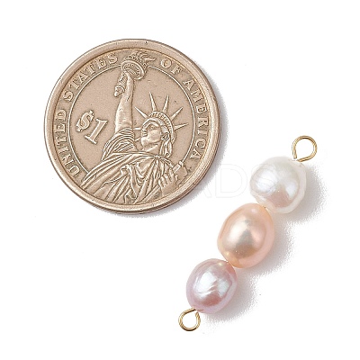 Natural Cultured Freshwater Pearl Potato Beaded Connector Charms PALLOY-JF04986-1