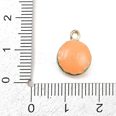 Hamburger Alloy Enamel Charms LS-ENAM-P264-01B-G-1