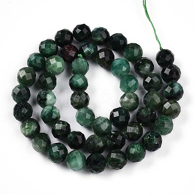 Natural Fuchsite Beads Strands G-T140-20B-1
