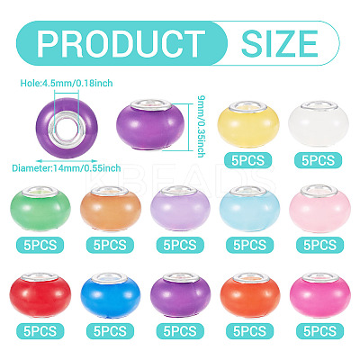 60Pcs 12 Colors Luminous Acrylic European Beads LACR-TA0001-06-1