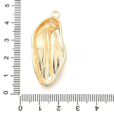 Brass Pendants KK-M318-50G-1