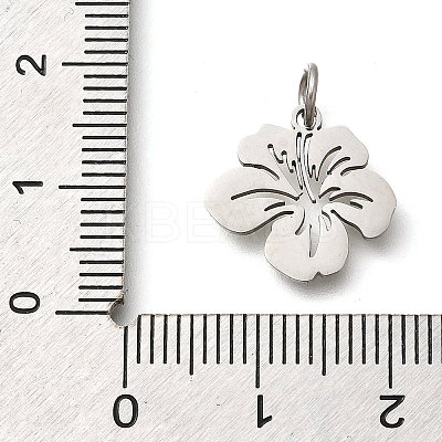 304 Stainless Steel Charms X-STAS-Z119-26P-1