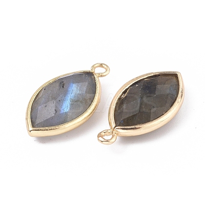 Natural Labradorite Pendants G-L514-023G-1