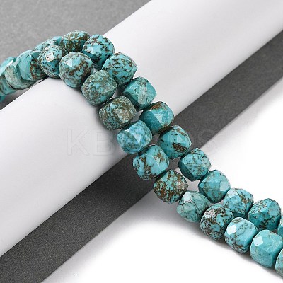 Natural Howlite Beads Strands G-G001-B03-02-1