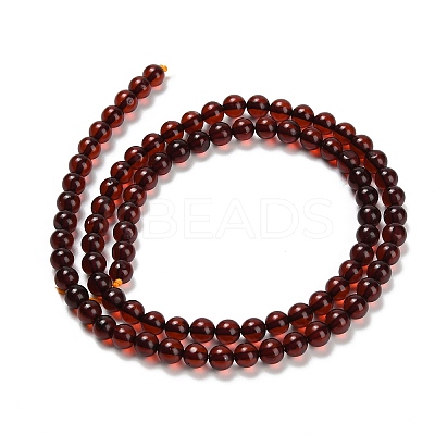Natural Amber Beads Strands G-Z100-A02-5mm-01-1