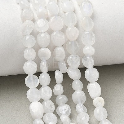 Natural Rainbow Moonstone Beads Strands G-Q961-27-1