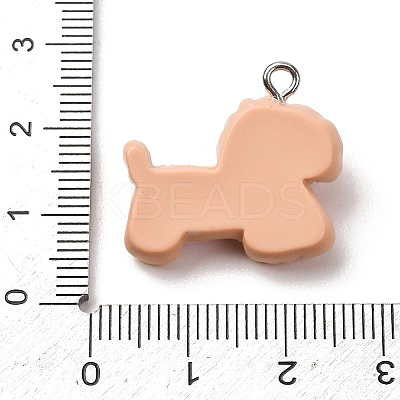 Opaque Resin Pendants RE-CBA5B90-04D-1