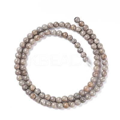 Natural Silver Line Jasper Beads Strands G-P451-03C-A-1