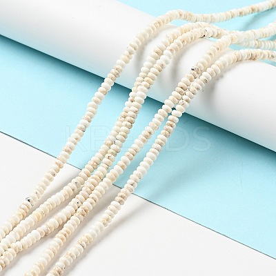 Natural Magnesite Beads Strands G-D474-02B-1