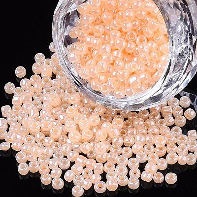 DIY Craft Beads 6/0 Ceylon Round Glass Seed Beads X-SEED-A011-4mm-147-1