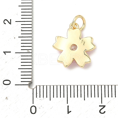 Brass Pave Clear Cubic Zirconia Pendants LS-KK-H255-06G-03-1