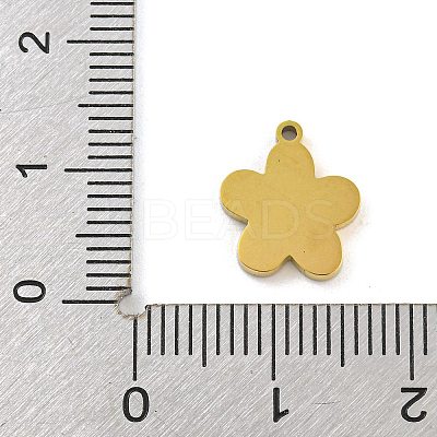 316 Surgical Stainless Steel Enamel Charms STAS-M073-29A-02G-1