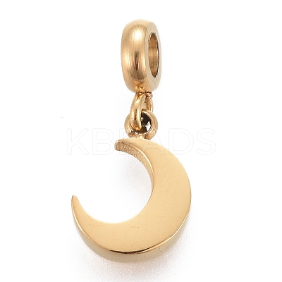 Ion Plating(IP) 304 Stainless Steel Charms LS-STAS-F259-014G-1