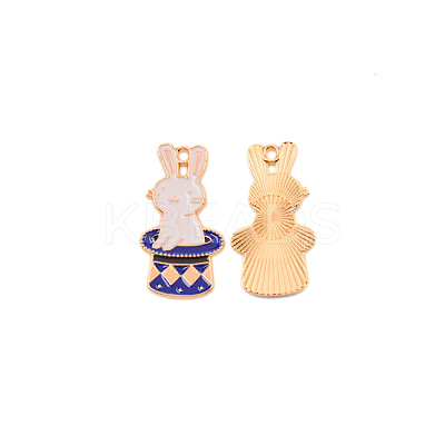 Zinc Alloy Enamel Pendants ENAM-CJC0010-04KCG-1