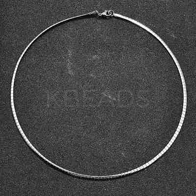 Non-Tarnish 304 Stainless Steel Necklaces NJEW-D274-01P-1