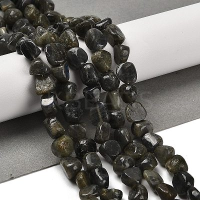 Natural Larvikite Beads Strands G-P497-01E-85-1