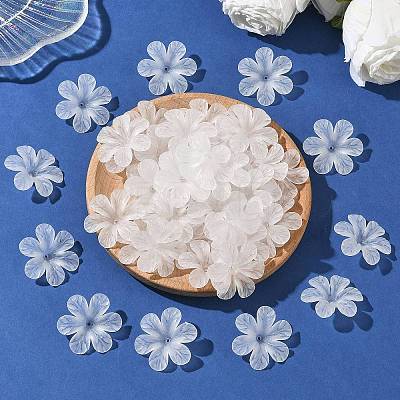 Transparent Acrylic Beads PAF154Y-11-1