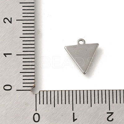 304 Stainless Steel Charms LS-STAS-S144-01P-D-1