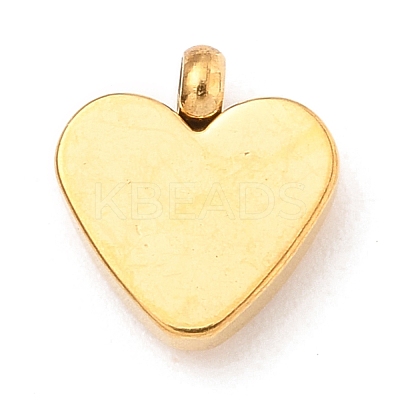 304 Stainless Steel Charms STAS-I165-05G-09-1