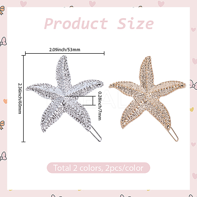 4Pcs 2 Colors Zinc Alloy Hair Barrettes PHAR-SP0001-24-1