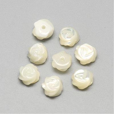 Natural White Shell Mother of Pearl Shell Cabochons SSHEL-R042-10-1