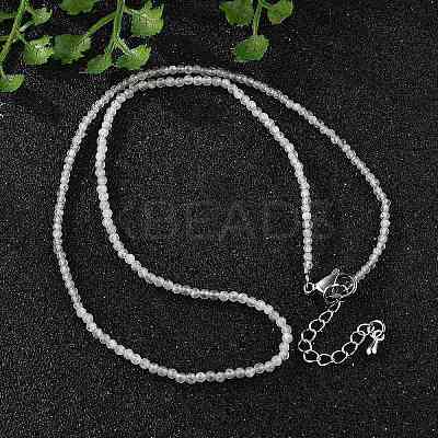 Natural Labradorite Beaded Necklaces NJEW-JN02492-07-1