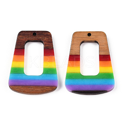 Opaque Resin & Walnut Hollow Pendants RESI-TAC0026-05T-1