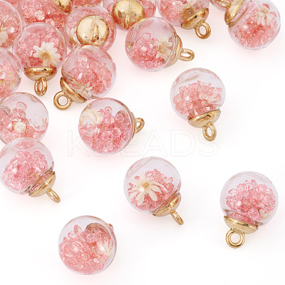 20Pcs Transparent Glass Globe Pendants GLAA-TA0003-57A-1