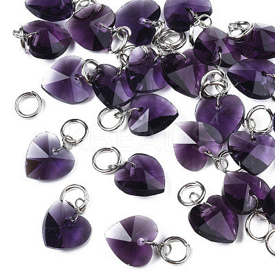 Faceted Transparent Glass Charms GLAA-T024-04-1