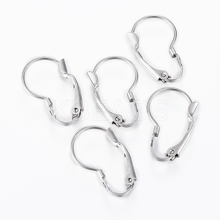 Tarnish Resistant 304 Stainless Steel Leverback Earring Findings X-STAS-G161-20B-1