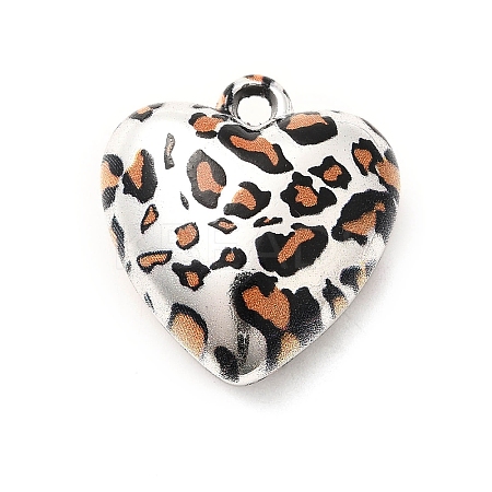 Acrylic Pendants OACR-S043-04C-1