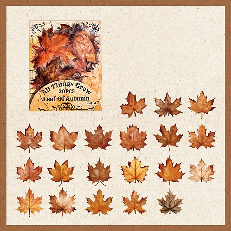Waterproof PET Stickers Set DIY-Z030-01C-1
