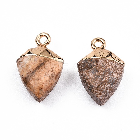Natural Picture Jasper Pendants G-N326-134-07-1