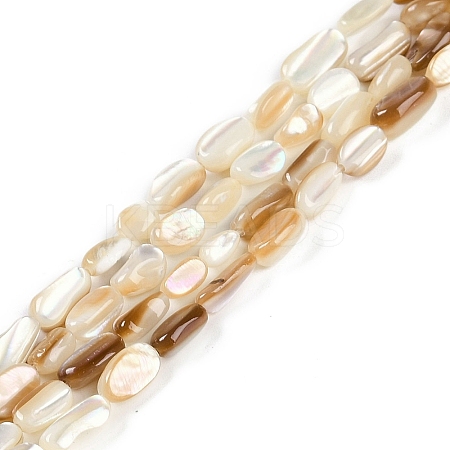 Natural Seashell Beads Strands BSHE-H109-09-1