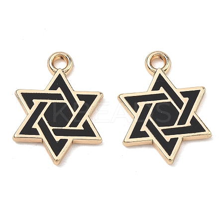 Alloy Enamel Pendants ENAM-G235-09G-01-1