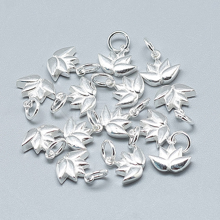 925 Sterling Silver Charms STER-T002-117S-1