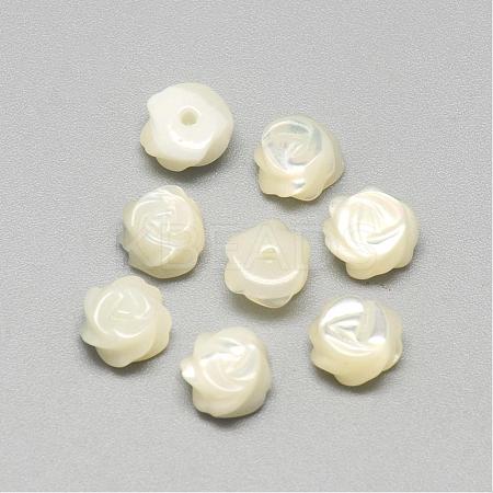 Natural White Shell Mother of Pearl Shell Cabochons SSHEL-R042-10-1
