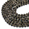 Natural Silver Sheen Obsidian Beads Strands G-K389-B79-01-3