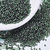 MIYUKI Delica Beads X-SEED-J020-DB0690-1