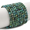Natural HuBei Turquoise Beads Strands G-P629-A04-03-1