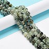 Natural Prehnite Beads Strands G-P322-48-8mm-01-4