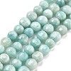 Natural Amazonite Beads Strands G-C179-J01-01-2