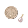 Natural Cultured Freshwater Pearl Potato Charms PALLOY-JF04844-2